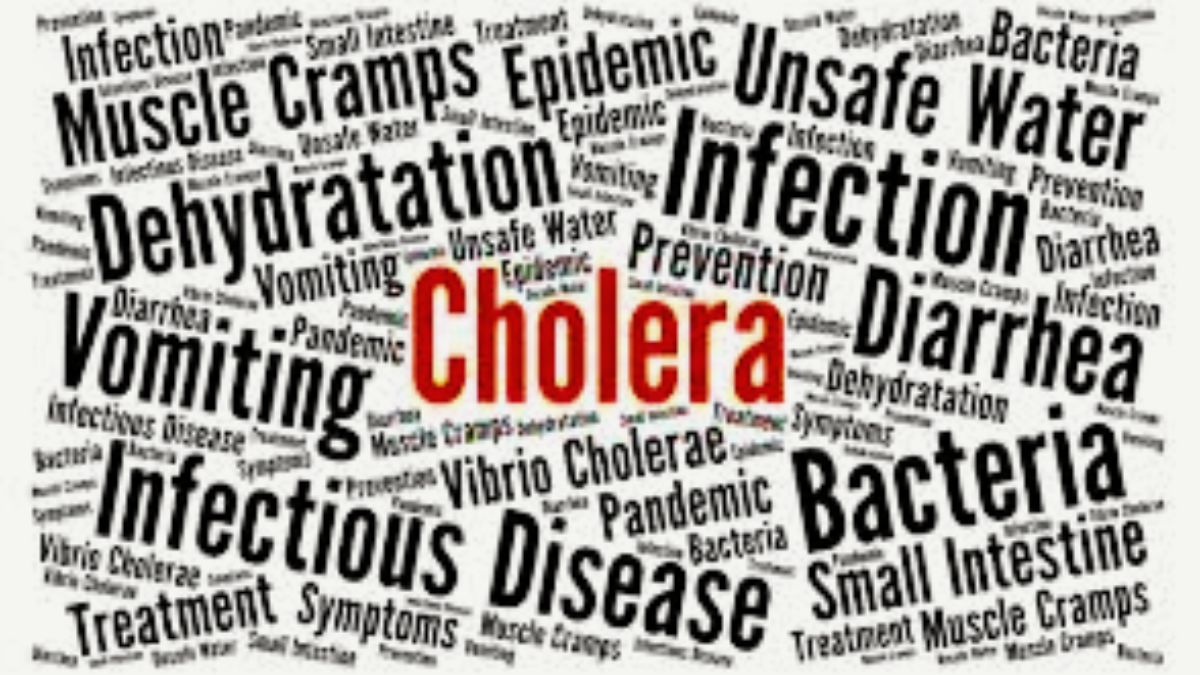Cholera Watch: 51 Countries Under Surveillance at Mauritius Ports