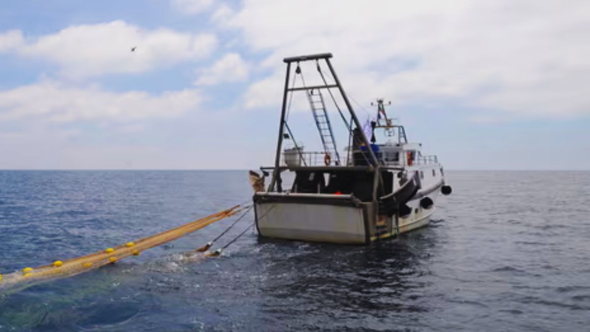 Surrey University's Satellite Assists Mauritius in Detecting illegal Fishing