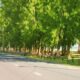 Rivière-Noire Demands Rs 100 Million for Road Resurfacing