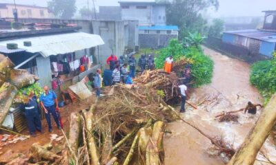 Fallen Tree Causes River Flood in Bois Cheri