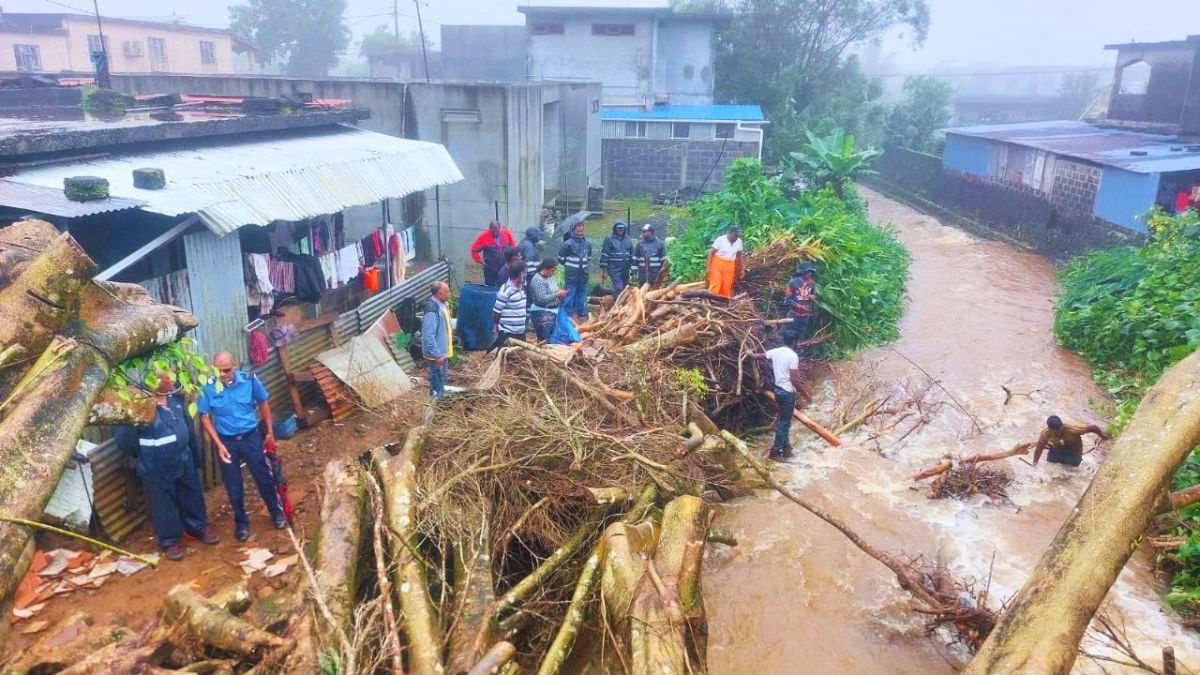 Fallen Tree Causes River Flood in Bois Cheri