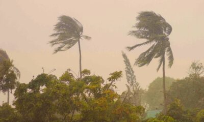 Windy Weather: Anticyclone Brings 70 km/h Gusts to Mauritius