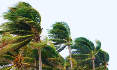 Winds of 80 km/h: Anticyclone Hits Mauritius