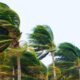 Winds of 80 km/h: Anticyclone Hits Mauritius