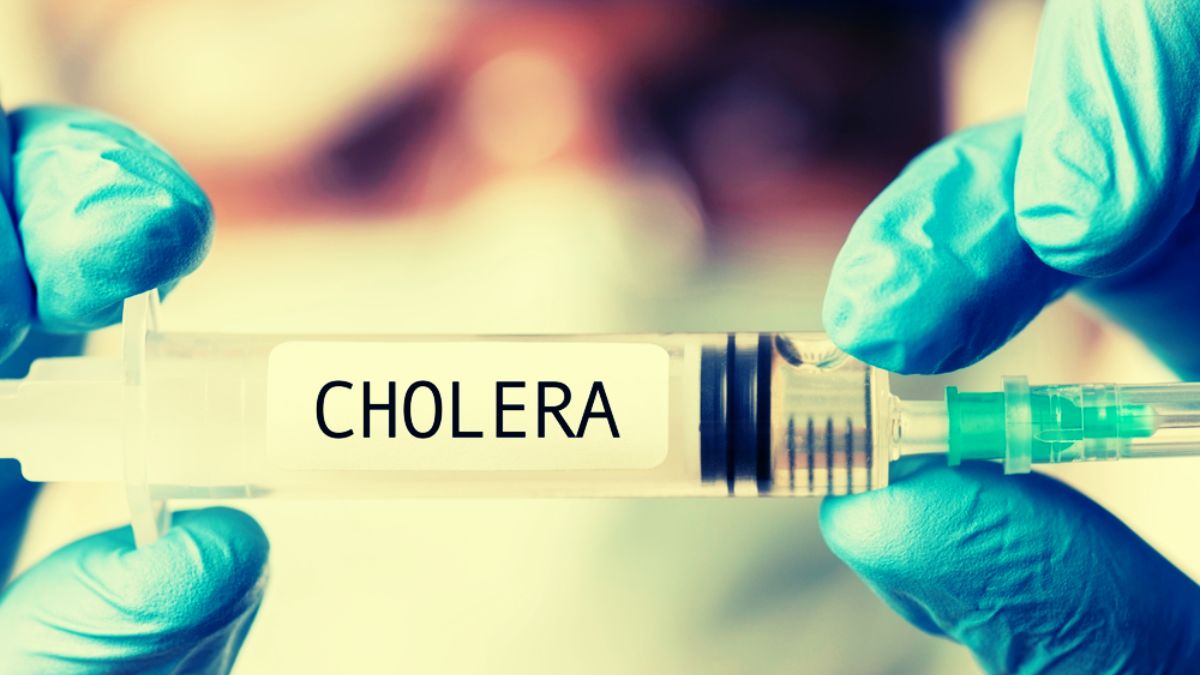 Mayotte Cholera Epidemic: 1 Tragic Child Lost, 58 Cases