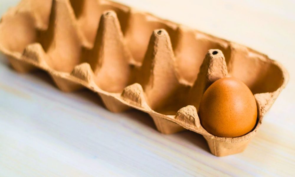 Supermarkets Run Dry on Daily Egg Supply