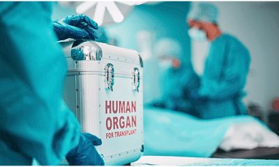 Mauritius Aspires to Become an Organ Transplantation Leading Facility