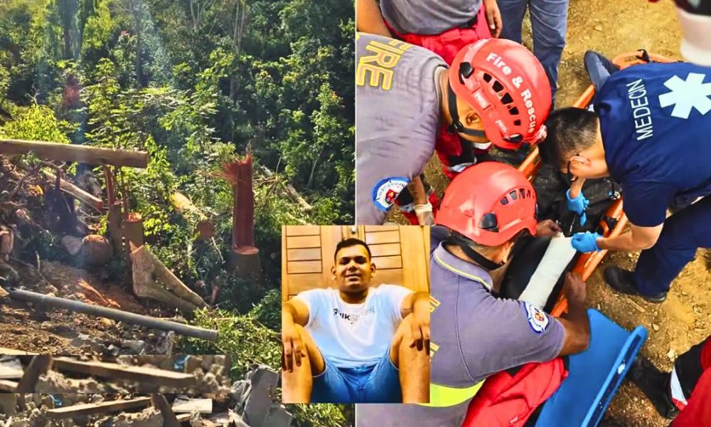Tragedy Strikes Montagne-Ory: Young Man Dies in Tree Felling Accident