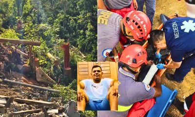 Tragedy Strikes Montagne-Ory: Young Man Dies in Tree Felling Accident