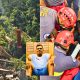 Tragedy Strikes Montagne-Ory: Young Man Dies in Tree Felling Accident