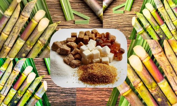 Industry Achieves 141,391 Tonnes of Sugar with 64% of Cane Harvested, Extraction 9.4%