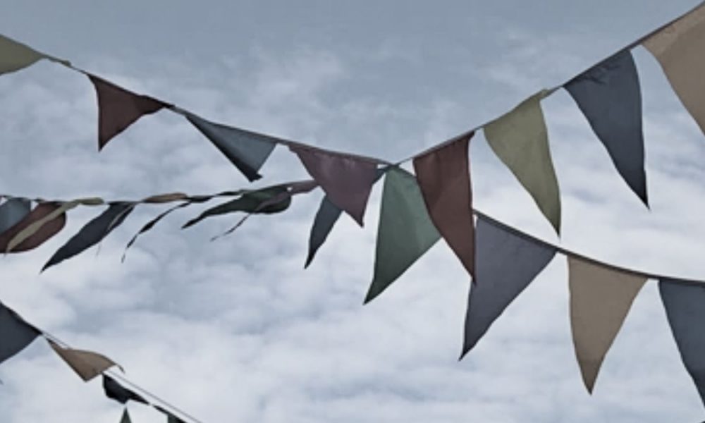 Local Man Released on Bail After Arrest for Removing Flags