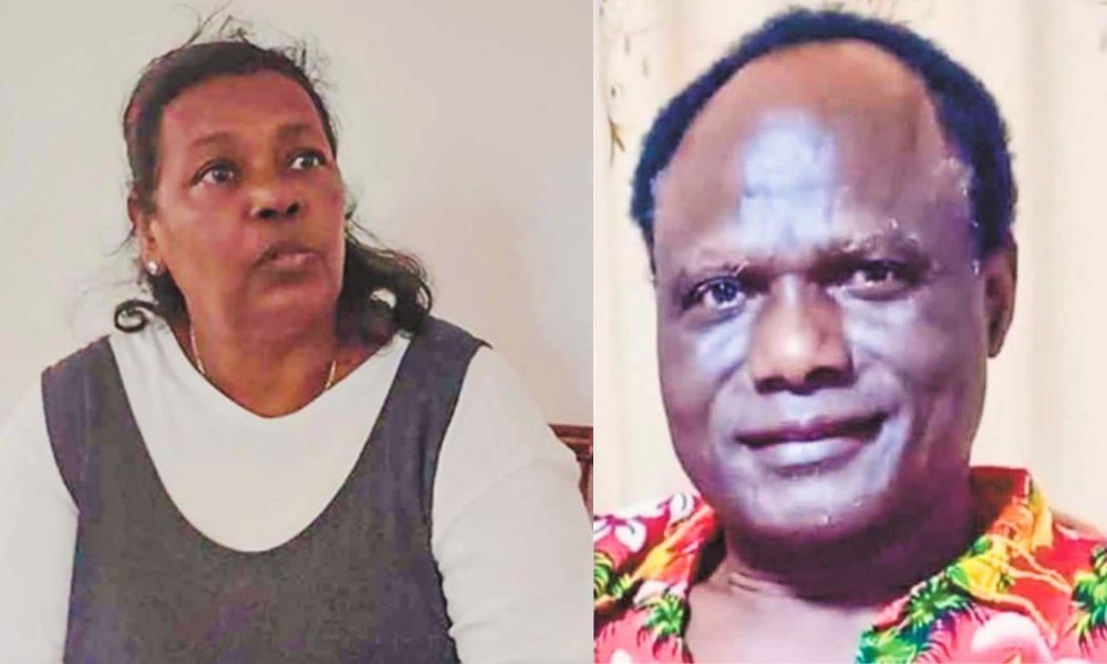 Tragic Hit-and-Run: A Mourning Widow's Plea for Justice