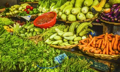 A Critical Situation in Agriculture: An Urgent Call to Action