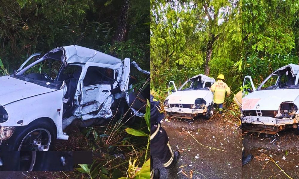 Fatal Road Accident in Mare-aux-Vacoas, 1 Deceased