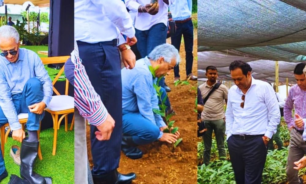 ENL Group Invests Rs 160 Million in New Tea Venture
