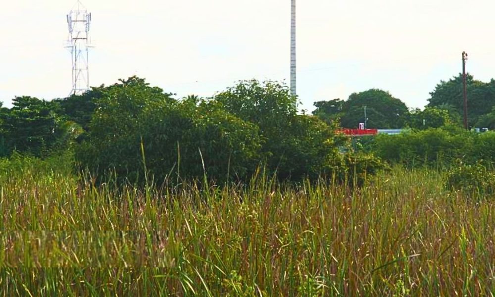 Morcellement La-Vallée's 200 Residents Await Building Permits: 10-Year Delay