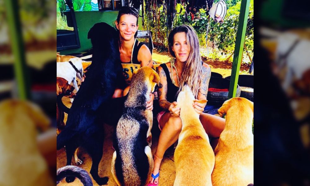 170 Dogs Find Hope in Surinam New Sanctuary, Born from a Generous Gift