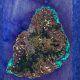 51 of 54 Mauritius Islets Owned by State, Minister Mohamed Reveals