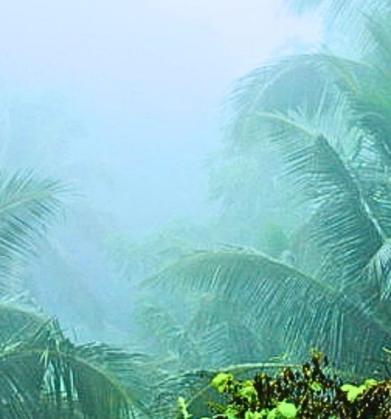 Weather Forecast: Heavy Rain Alert Issued for Mauritius Until 7 PM