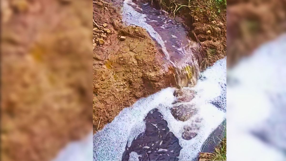 Wastewater Spill from Mare-Chicose Dump: River Contaminated for 3 km!