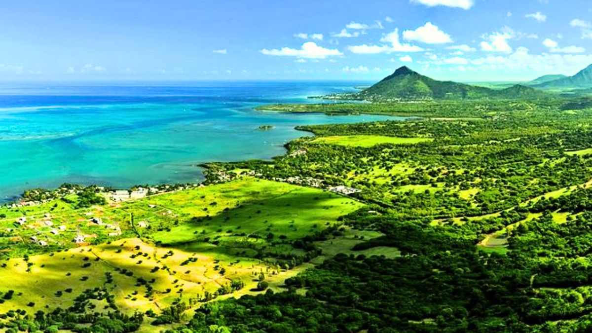 Mauritius Launches 1-Month Forest Conservation Training for 15 Experts