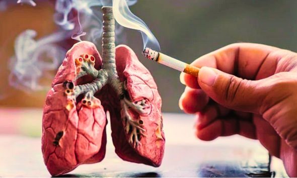 Tobacco Claims 8 Million Lives Annually as Mauritius Unmasks Deceptive Industry Marketing