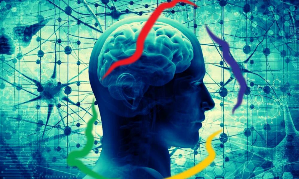 Mauritius Tops Africa IQ Rankings with 86.56 Average Score