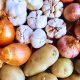 Rs 4.8 Billion Spent, Food Production Drops 40%, Results Fail to Deliver