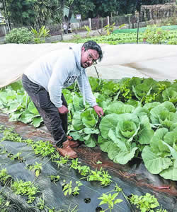 30-Year-Old Graduate Trades Desk Job for Shovels and Soil