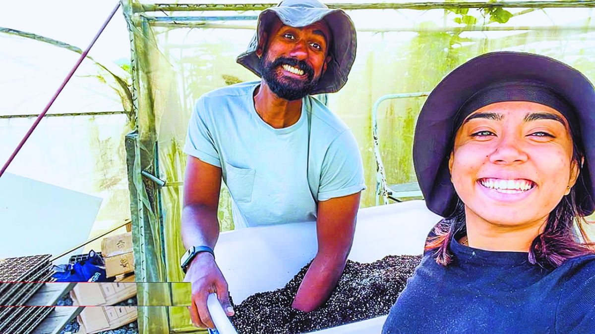 Farming Reborn 2022: Love Story Turns Land into Life
