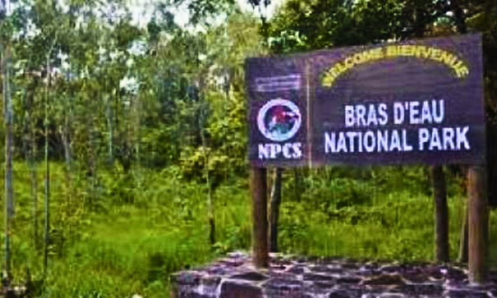 30 Workers' Laid Off as Bras d'Eau Park Contracts Terminated