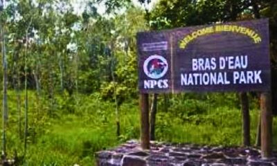 30 Workers' Laid Off as Bras d'Eau Park Contracts Terminated