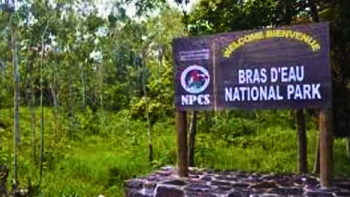 30 Workers' Laid Off as Bras d'Eau Park Contracts Terminated