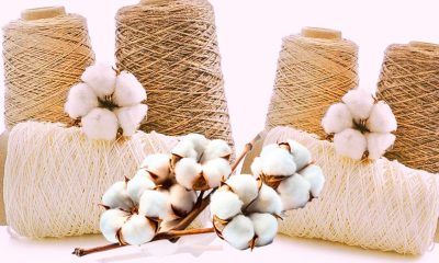 U.S. Deal to Boost Mauritian Textile Industry with 300 Tons of Cotton