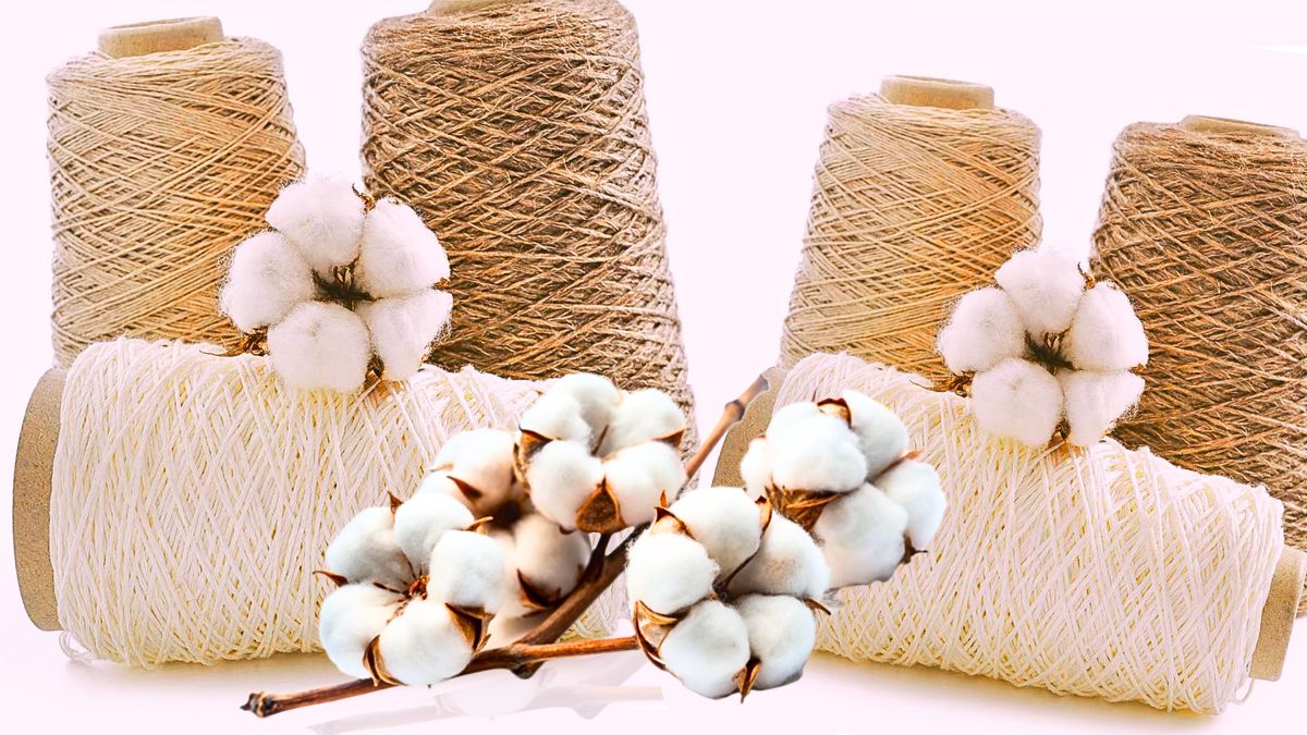 U.S. Deal to Boost Mauritian Textile Industry with 300 Tons of Cotton