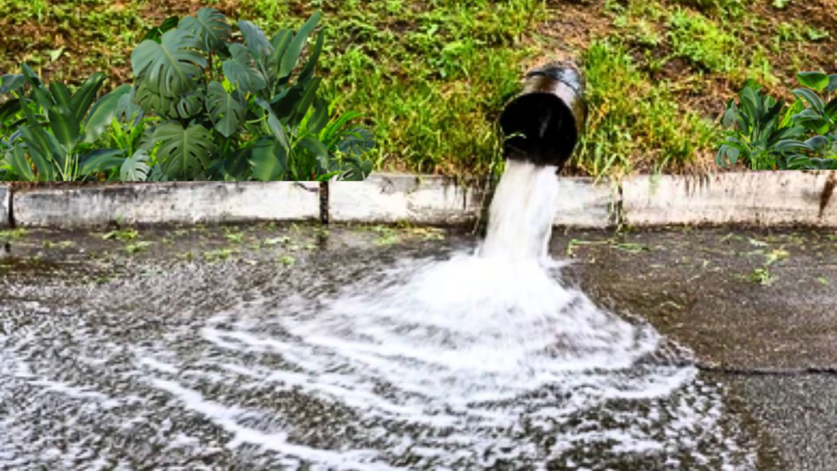 Rs 2,000 to 10,000 Fines Await Mauritians for Slab Water Runoff