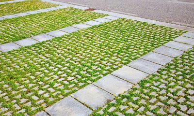 Porous Paving and Green Roofs Urged in New Drainage Plan