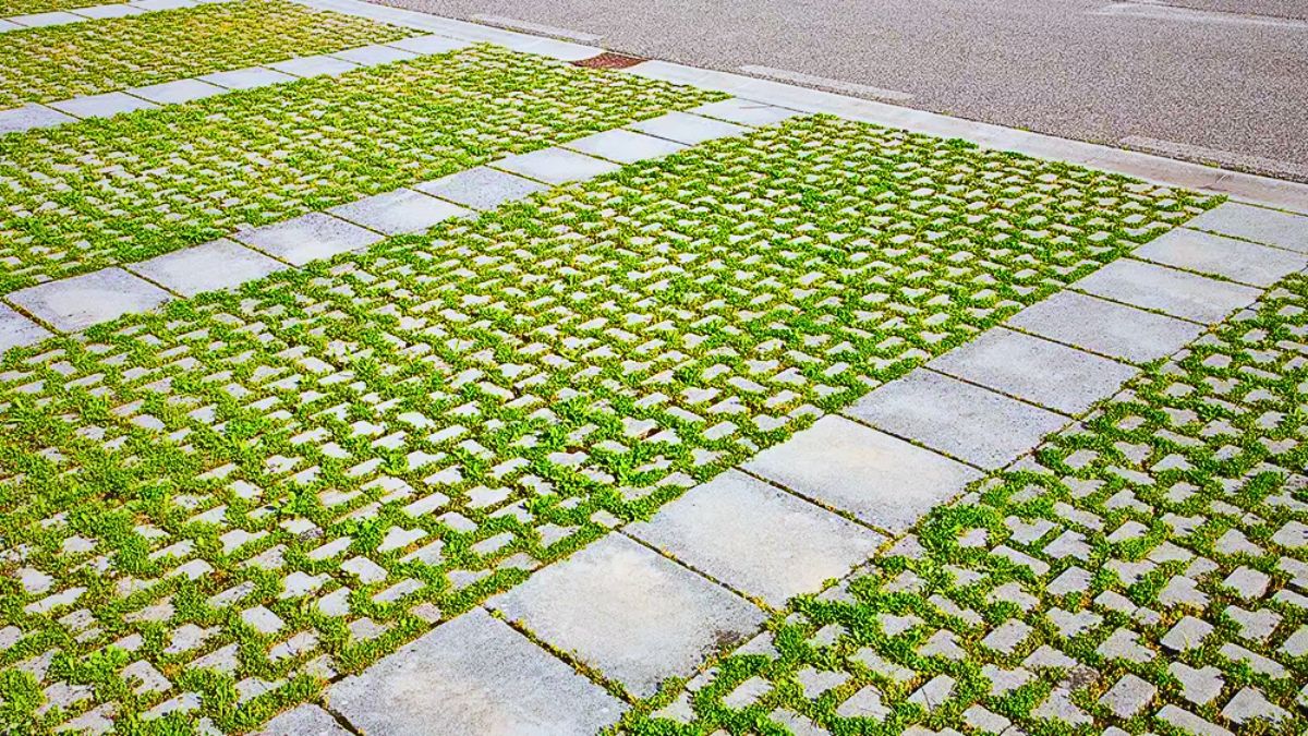 Porous Paving and Green Roofs Urged in New Drainage Plan