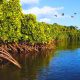 MOL Charitable Trust Launches 5th Funding Round for Environmental Projects