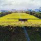 29 Arpents of Sodnac Park to See First Major Upgrade in 16 Years