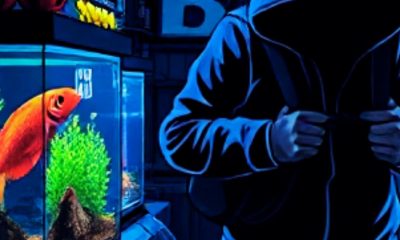 74-Year-Old Aquarium Owner Murdered in Botched Baie-du-Tombeau Robbery