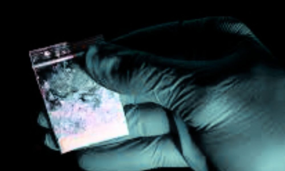 Rs 96.7 Million Synthetic Drug Haul: 2 Arrested as Flic-en-Flac Lab is Busted