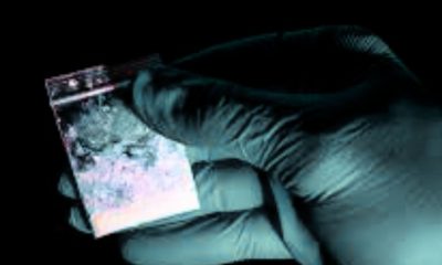 Rs 96.7 Million Synthetic Drug Haul: 2 Arrested as Flic-en-Flac Lab is Busted