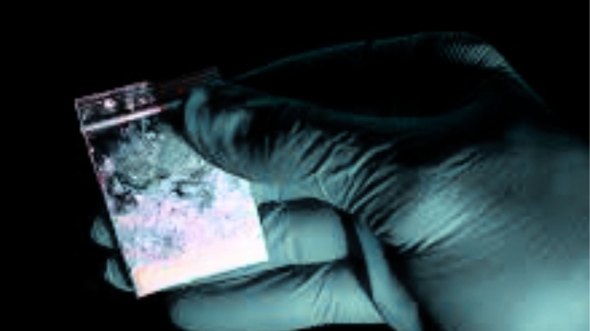 Rs 96.7 Million Synthetic Drug Haul: 2 Arrested as Flic-en-Flac Lab is Busted