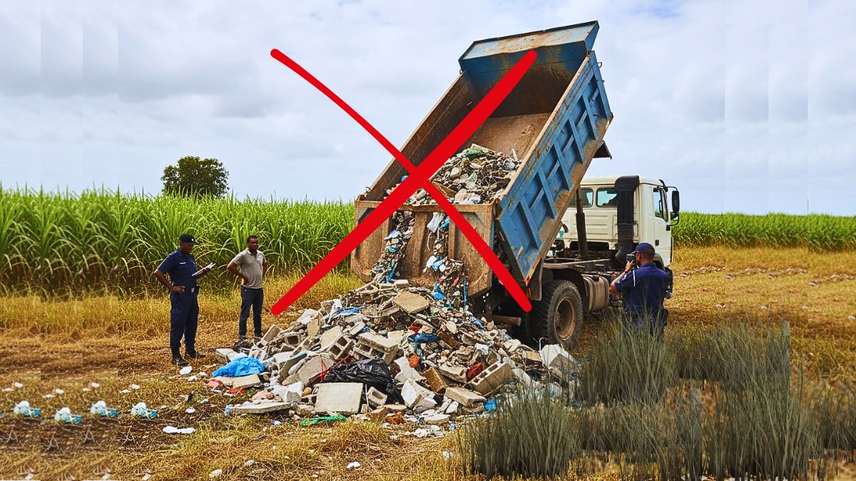 Environment Ministry Plans 3-Step Crackdown: Fines, Seizures, and Driving Bans