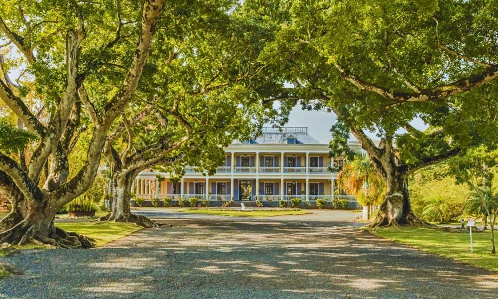 136 Plots Planned for Labourdonnais Luxury Housing Estate