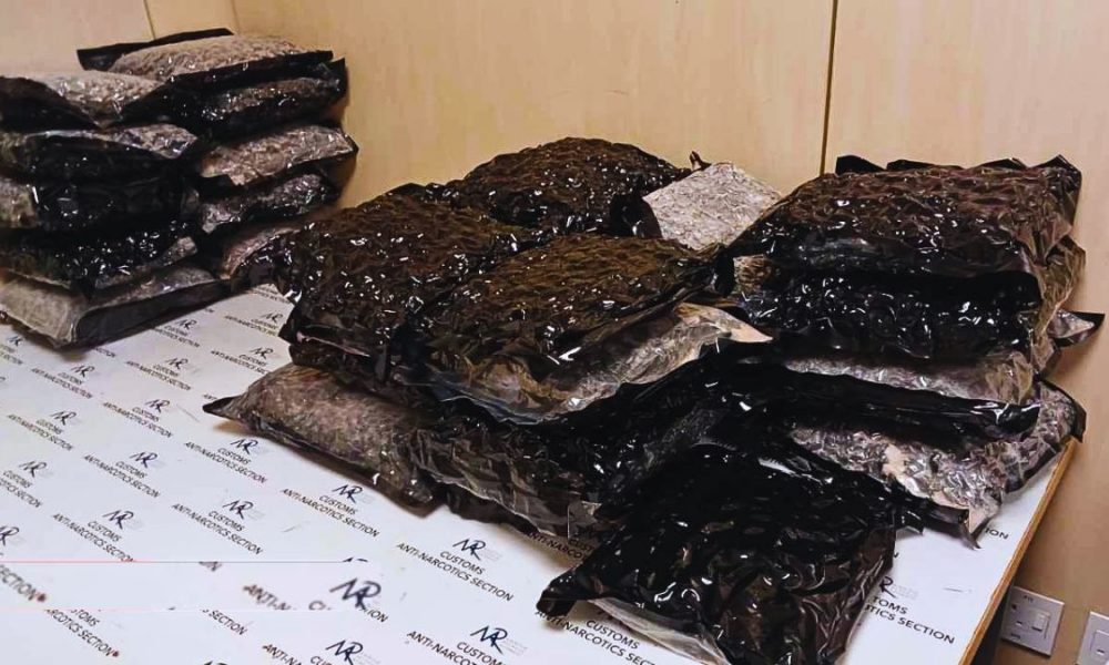 Man Arrested at Plaisance Airport with Rs 31.6 Million Cannabis Haul