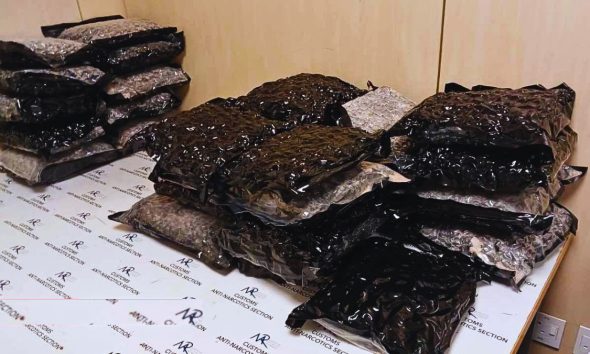 Man Arrested at Plaisance Airport with Rs 31.6 Million Cannabis Haul