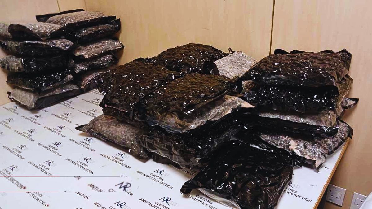 Man Arrested at Plaisance Airport with Rs 31.6 Million Cannabis Haul